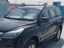 HAVAL H9